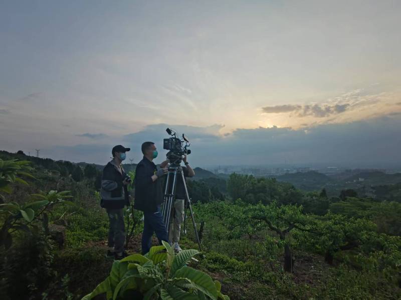创意破圈！阜阳电商产品宣传视频用故事化叙事引爆流量