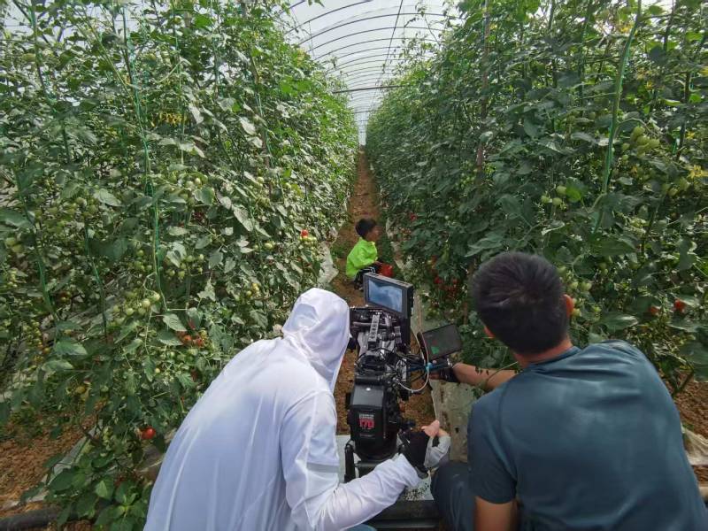 阜阳产品宣传视频拍摄公司进阶指南，助力品牌抢占传播高地